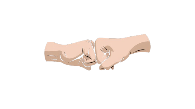 żółwik-bez-tła webp